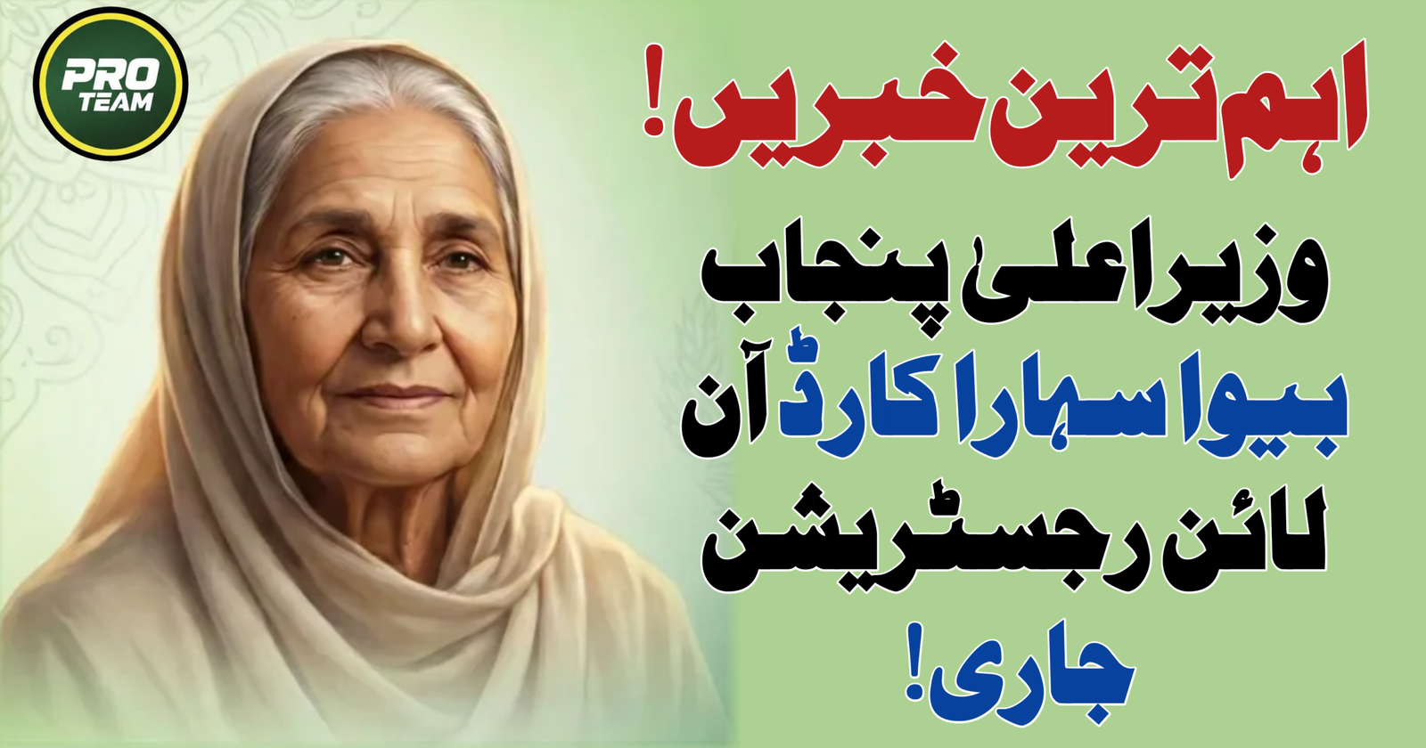 CM Punjab Bewa Sahara Card Online Registration