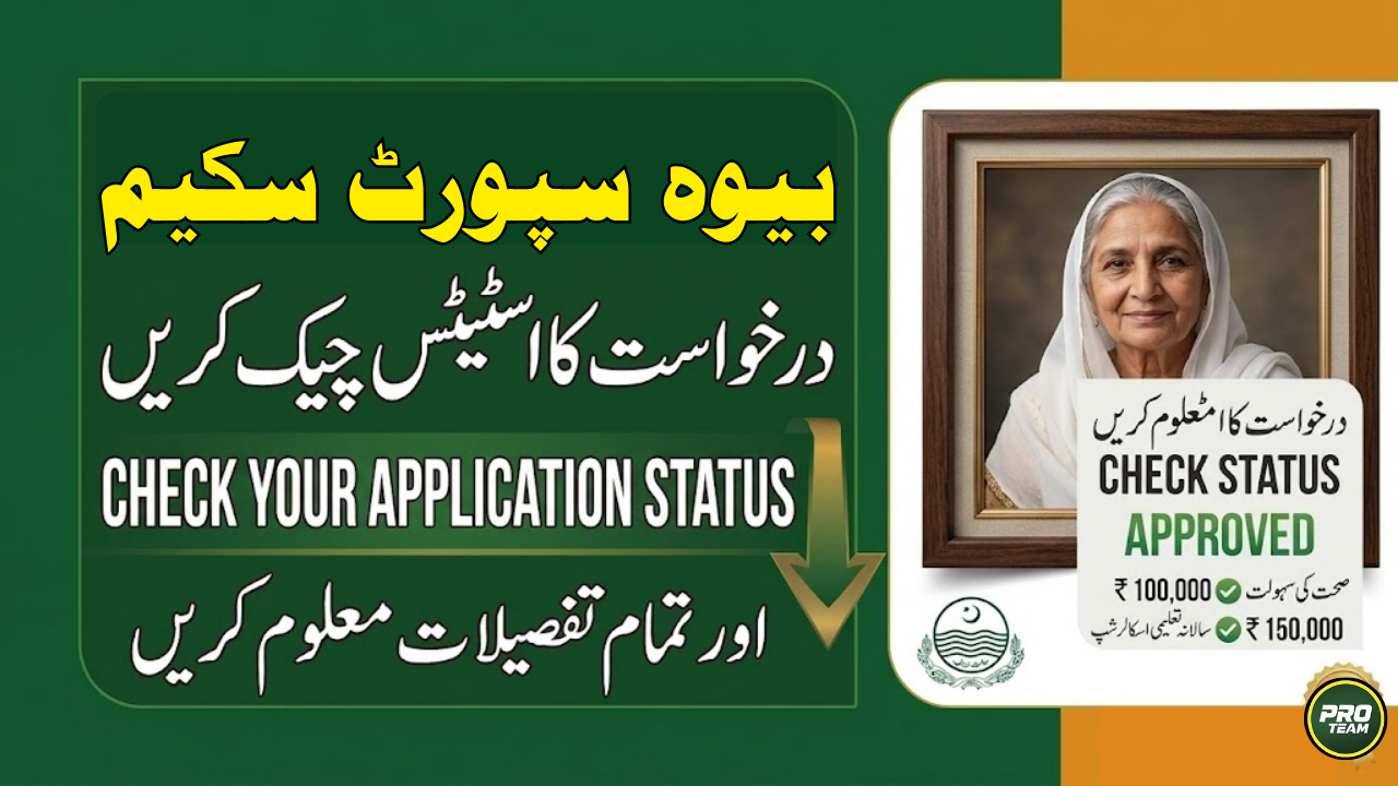 Check Your Application Status Punjab Widow Support Scheme